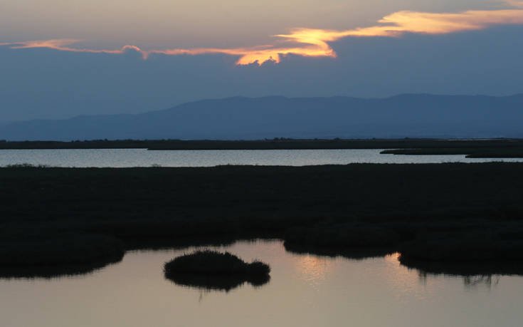Η αποθέωση της φύσης στο δέλτα του Έβρου 25 4470563