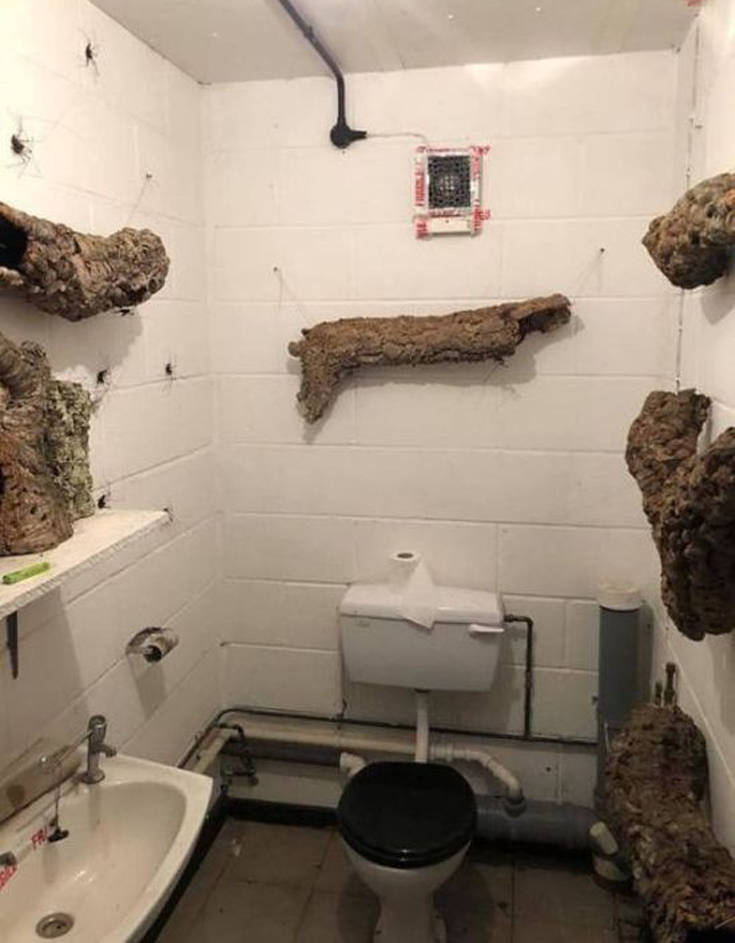 Διακόσμηση μπάνιου για σούπερ τολμηρούς 15 bathroom_decor_01