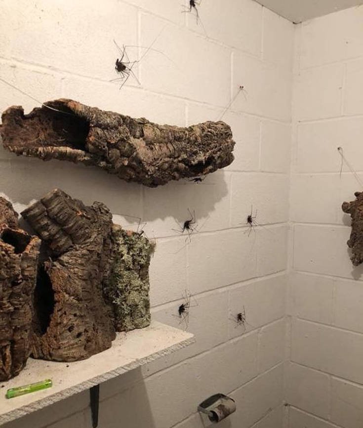 Διακόσμηση μπάνιου για σούπερ τολμηρούς 13 bathroom_decor_05