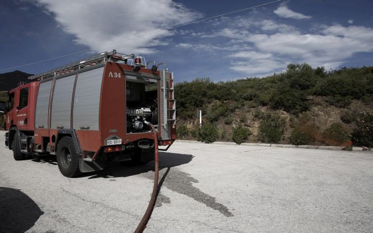 Υπό μερικό έλεγχο η πυρκαγιά στα Πολιτικά Ευβοίας 4 pyr
