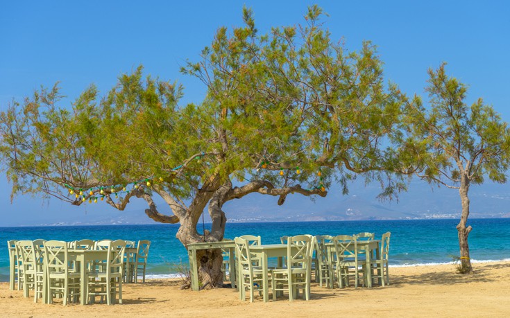 Μοναδικές εμπειρίες στη Νάξο 31 naxostaverna 1