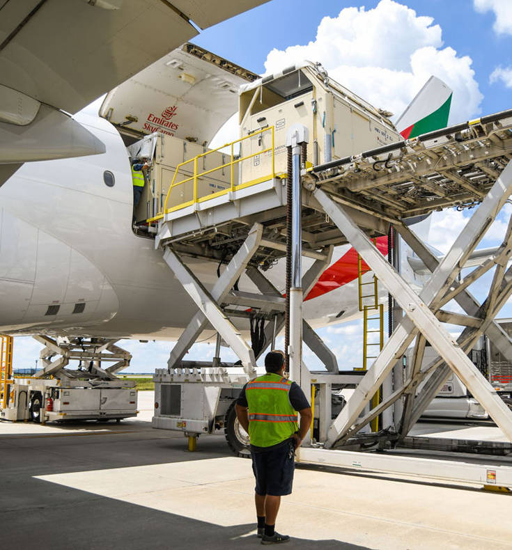 H Emirates SkyCargo μεταφέρει την πρώτη ομάδα αλόγων για τα FEI World Equestrian Games™ του Tryon 2018 10 Emirates SkyCargo