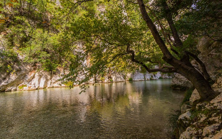 shutterstock 1030916296 1