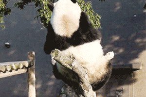 untitled 1 1.thumbnail