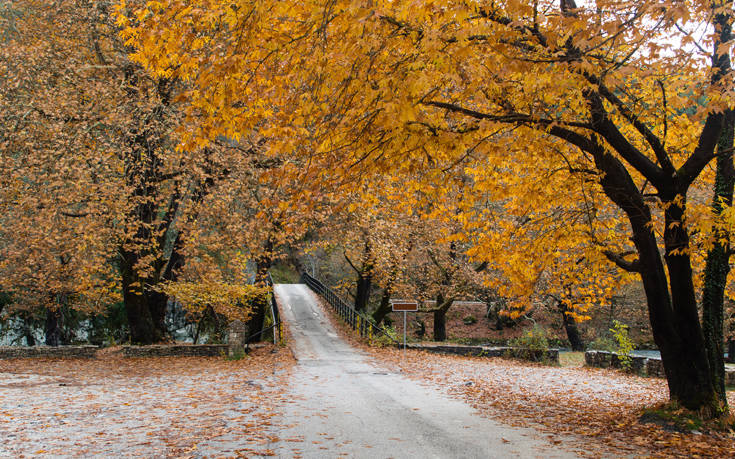 Εικόνες σαν καμβάς ζωγραφικής στο Πάπιγκο