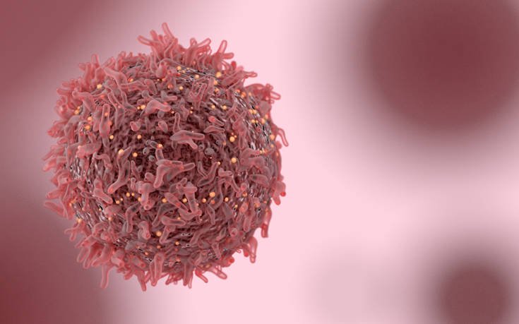 shutterstock536117299