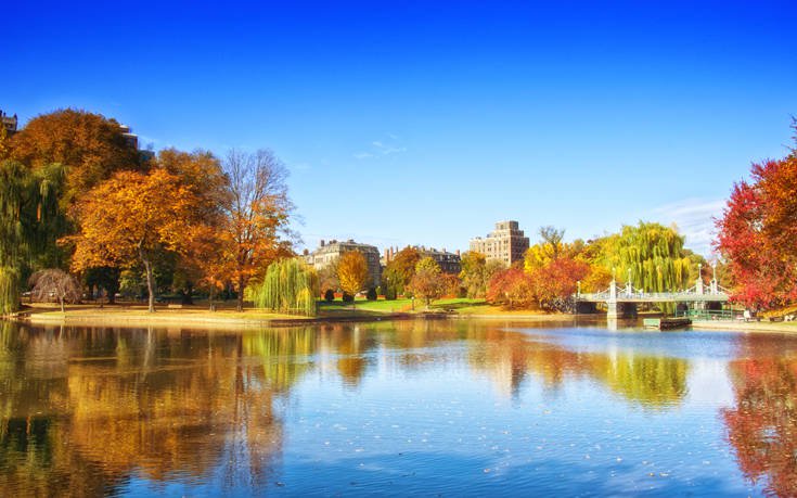 shutterstock 719414161 1