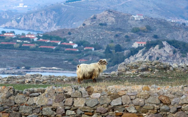 Η φθινοπωρινή όψη της Λήμνου 20 333726 1