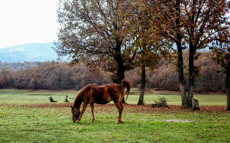 Μαγευτικά κλικ από τη λίμνη Πλαστήρα 17 338021 1
