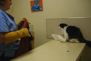 untitled 1 7.thumbnail