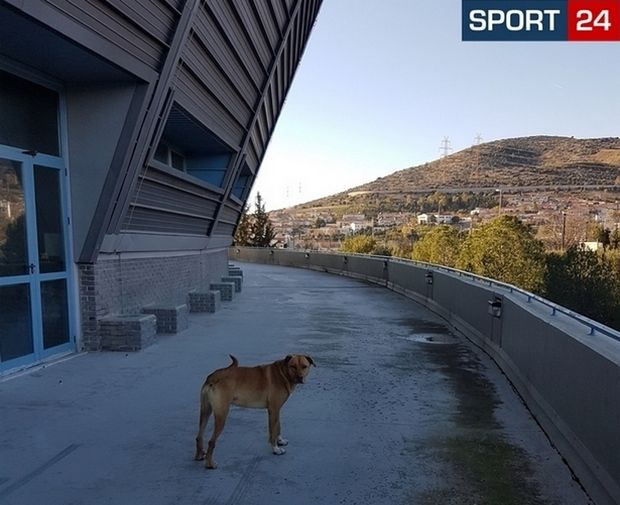 Αυτοψία στο "παλάτι" των Άνω Λιοσίων που θέλει να κάνει σπίτι της η ΚΑΕ ΑΕΚ 39 444