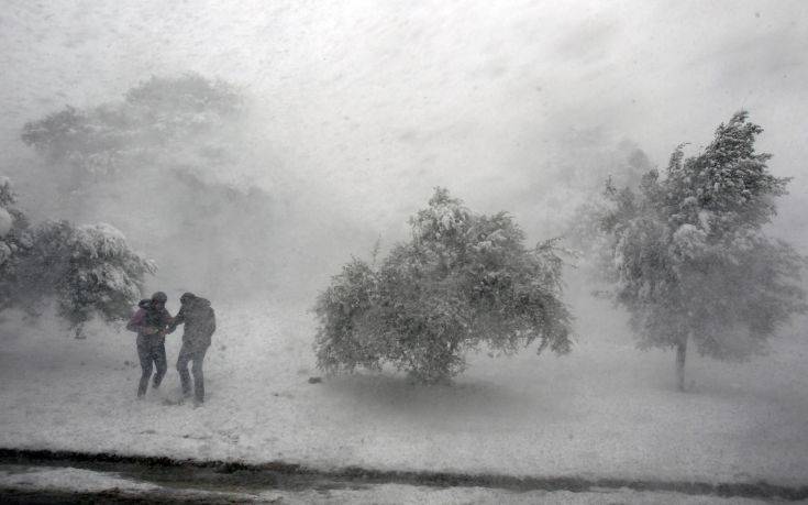 Τι να κάνετε σε περίπτωση θυελλωδών ανέμων, χιονιά και παγετού 4 AP 120228017352