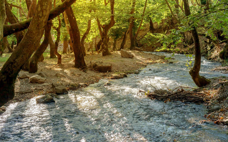 Παραμυθένιο σκηνικό κρυμμένο σε ένα μαγευτικό πλατανόδασος 18 shutterstock 1184965663 1