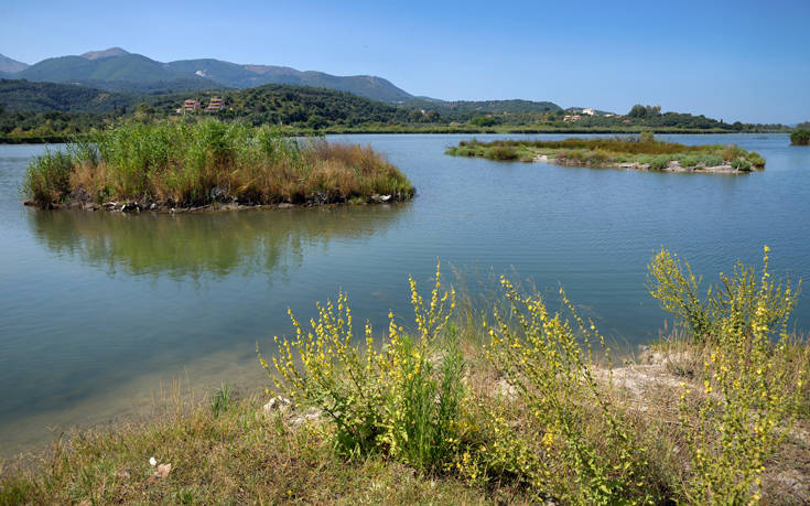 Η όμορφη «λίμνη των κρίνων» 21 shutterstock 1221556912 1