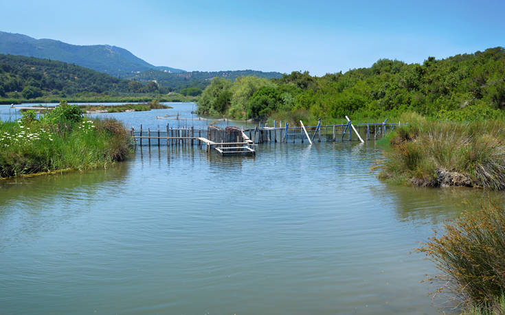 Η όμορφη «λίμνη των κρίνων» 22 shutterstock 1221556915 1
