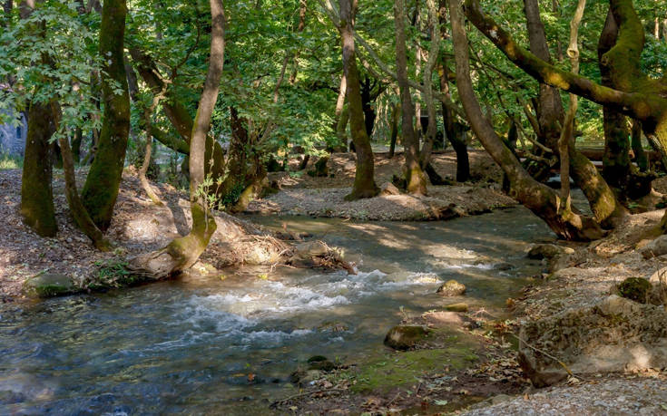 Παραμυθένιο σκηνικό κρυμμένο σε ένα μαγευτικό πλατανόδασος 17 shutterstock 1272669883 1