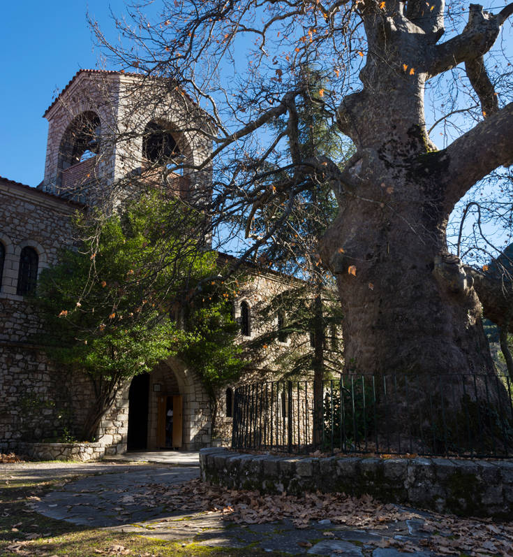 shutterstock 1081633391