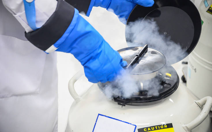 shutterstock749272681