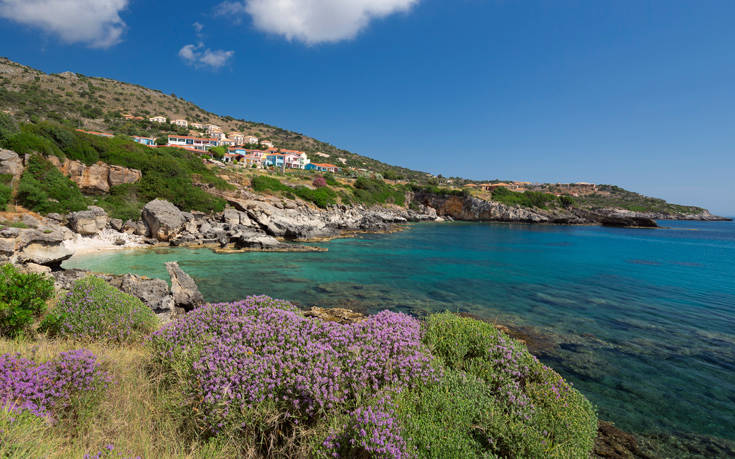 shutterstock 461871253 1