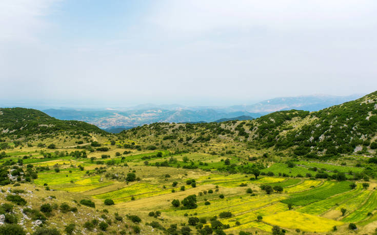 shutterstock 206487226 1