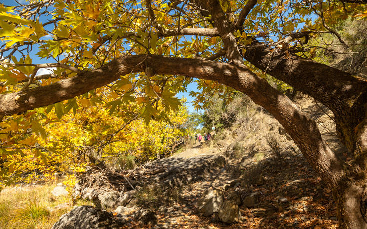 Το μυθικό βουνό της Αρκαδίας 21 shutterstock 772225633 1