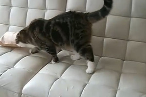 maru.thumbnail