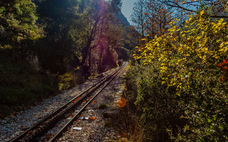 Οδοντωτός, ένα μαγευτικό ταξίδι μέσα στην άγρια φύση
