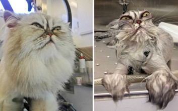 bath12 353x221 1