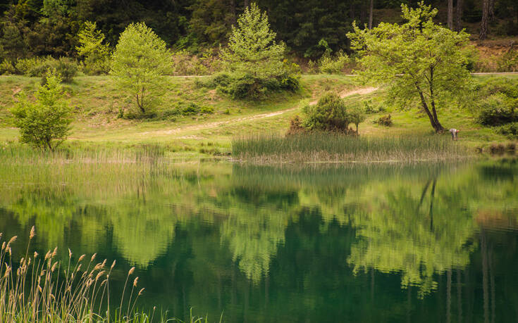 shutterstock 1242293764