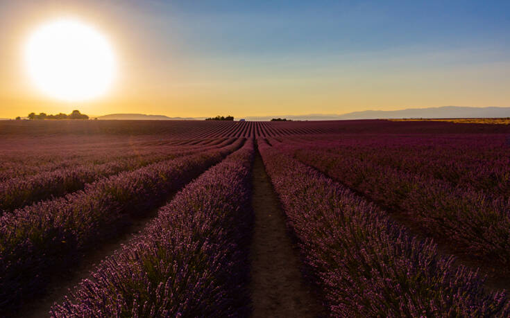 shutterstock 1180784917