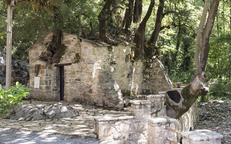 Το «θαυμαστό ναΐδριο» με τα 17 δέντρα στη σκεπή