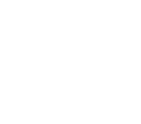 twitter article