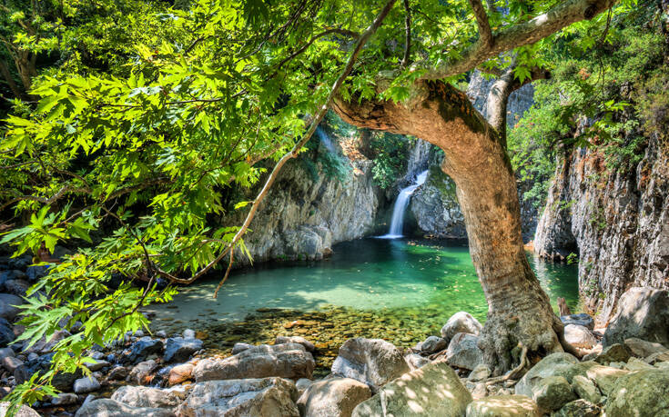 shutterstock 310344173