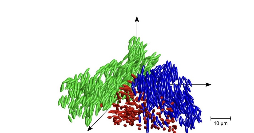 Μια νέα κατάσταση της ύλης