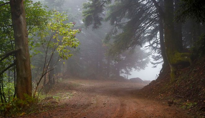 wrc 2021 rd.9 015