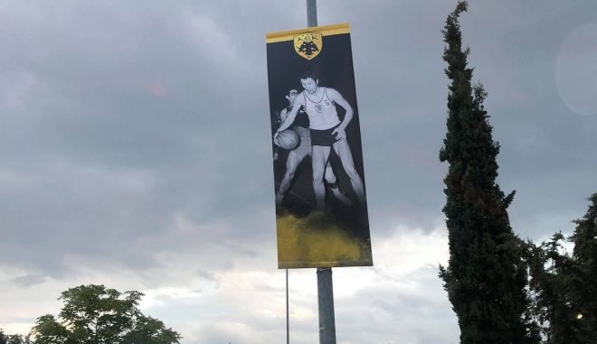 aek gipedo