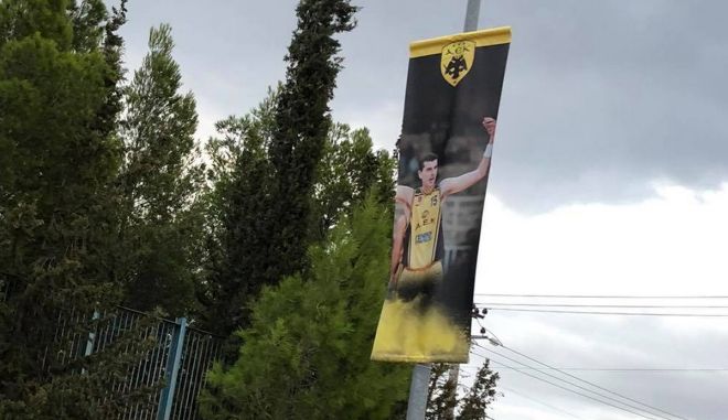 aek gipedo1