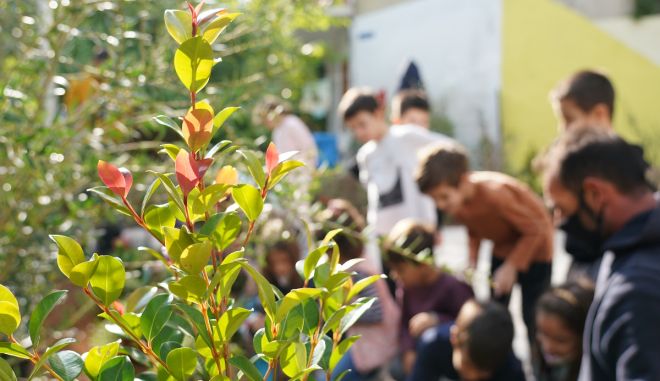 Η Nova και ο Δήμος Αθηναίων ενώνουν τις δυνάμεις τους για μια Αθήνα πιο πράσινη