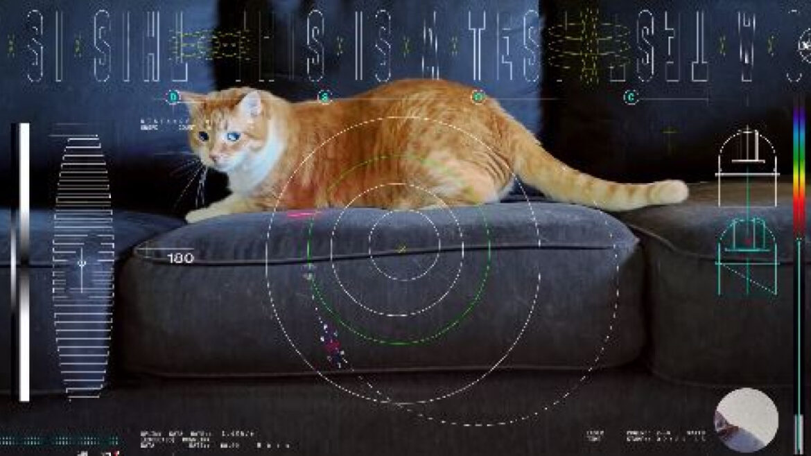 NASA: Δοκίμασε επικοινωνίες με λέιζερ μεταδίδοντας από το Διάστημα βίντεο με μια γάτα