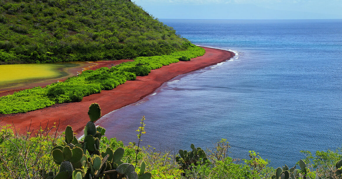 Η κόκκινη παραλία με τους πιο απρόσμενους λουόμενους