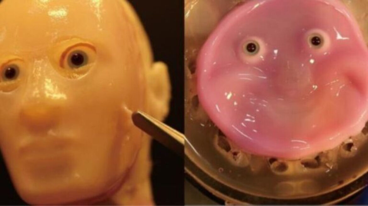 Ιαπωνία: Επιστήμονες δημιούργησαν ρομπότ προσθέτοντας ζωντανό δέρμα – Βίντεο