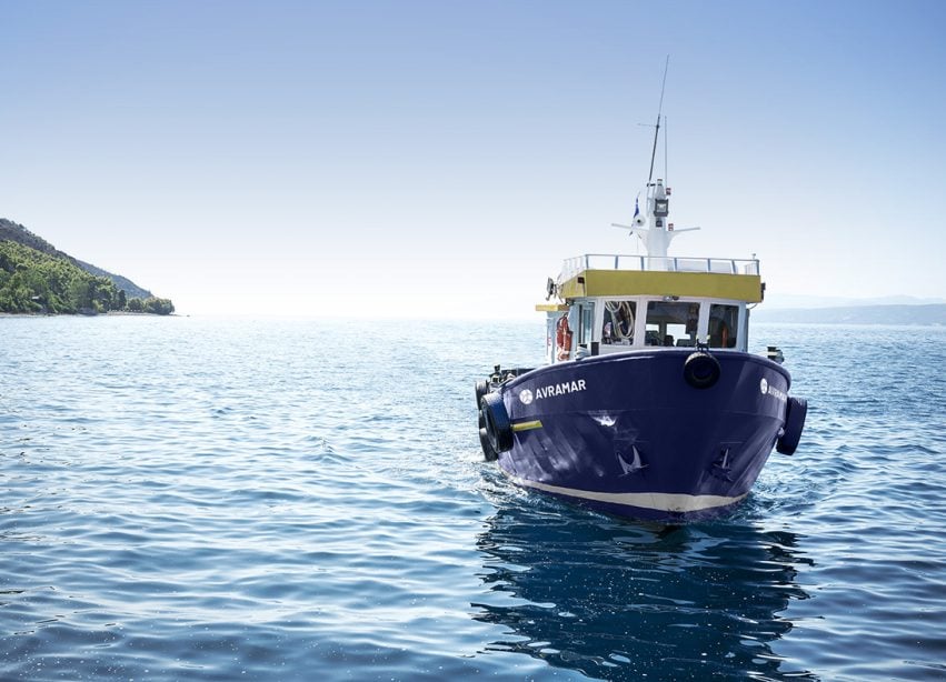 Παράταση αγωνίας για την Avramar