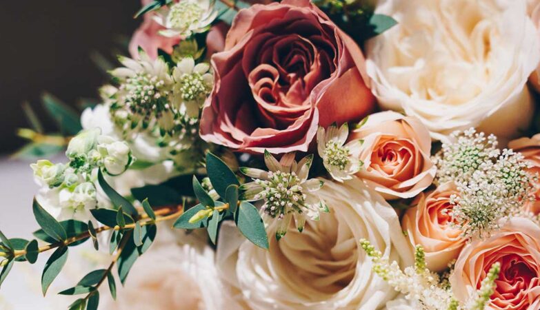 ΑΝΘΟΠΩΛΕΙΑ-ΑΘΗΝΑ-4