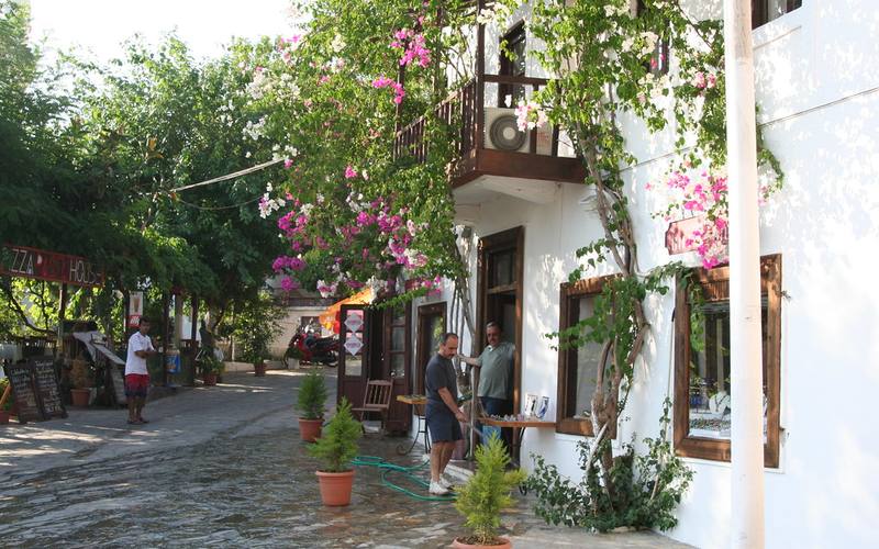 Πήλιο: Βουνό & Θάλασσα Tours 2 Sexygossip SEO